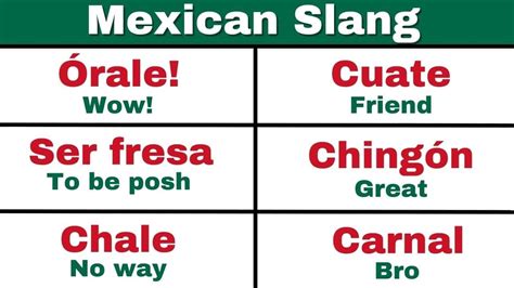 vale verga slang|18 Mexican Slang Terms You Need to Know